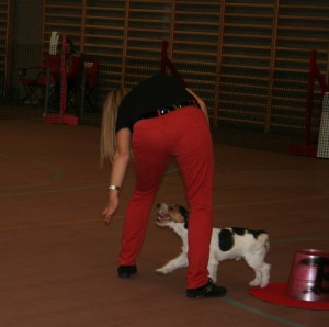 Sjuulke's doggy dans 045