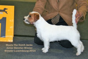 Benelux winner Mouts 2014 017 (2)