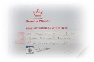 benelux Winner Brussel, Winner Amsterdam 010