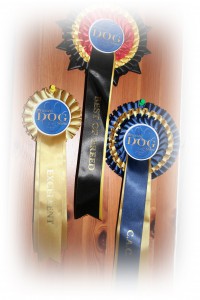 benelux Winner Brussel, Winner Amsterdam 014