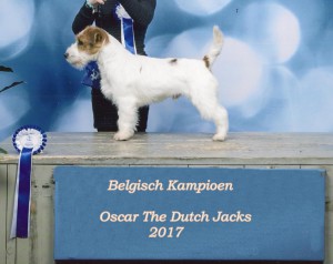 Show Genk Lynn & Oscar THe Dutch Jacks