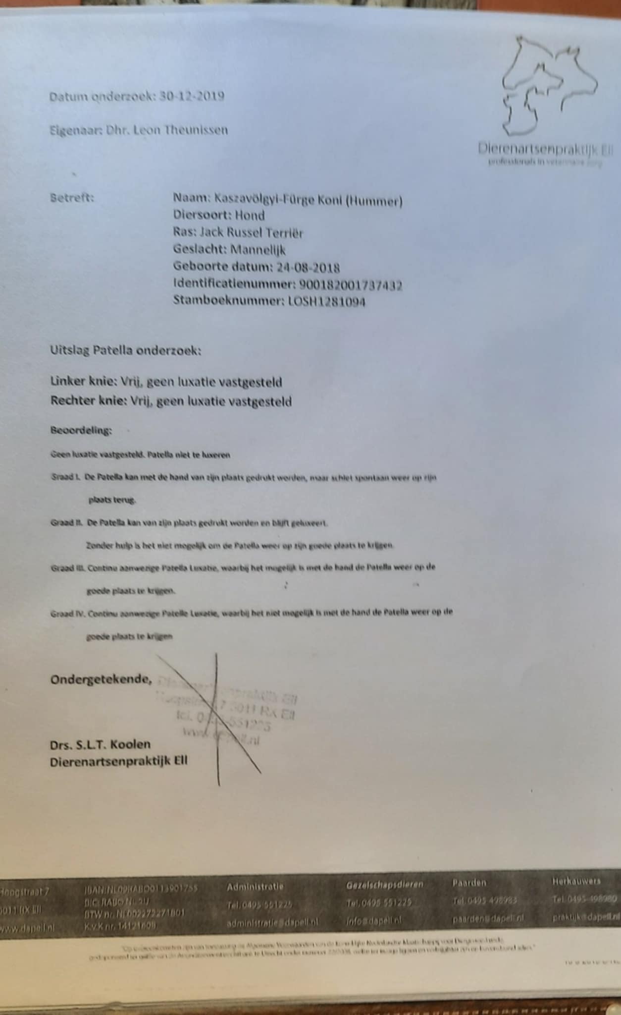 Patella onderzoek