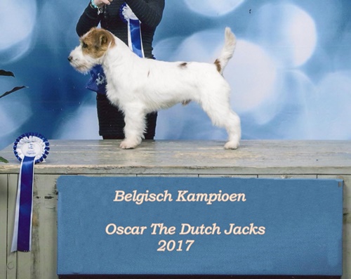 Show Genk Lynn Oscar THe Dutch Jacks